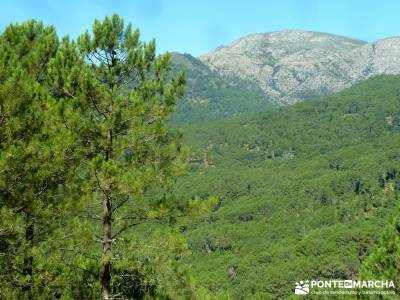 Garganta de Nuño Cojo-Piedralaves; fiestas madrid noviembre granada alpujarras valle guadalquivir